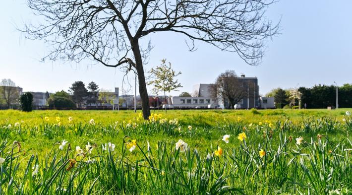 Prairie de l'usine de Neuilly-sur-Marne
