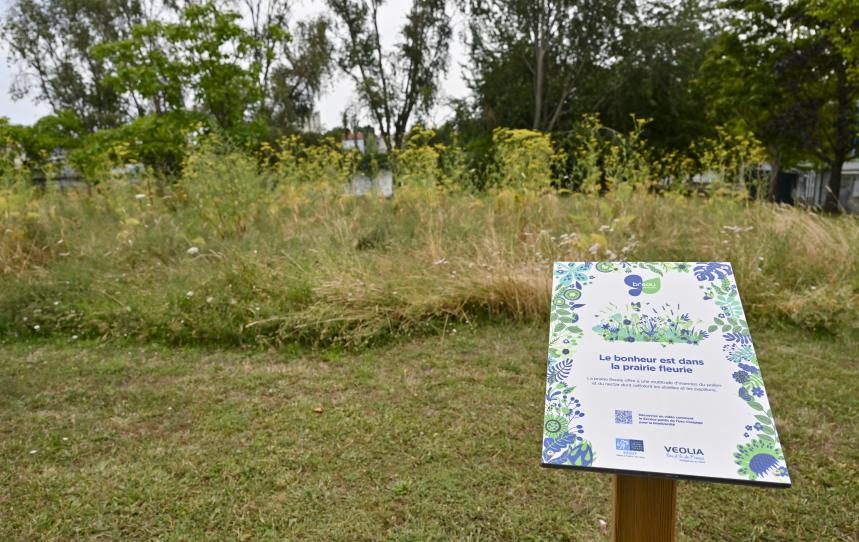 Biodiversité usine Choisy