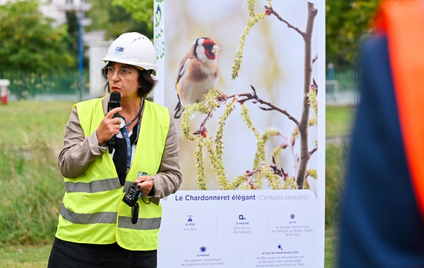 Visite été Choisy