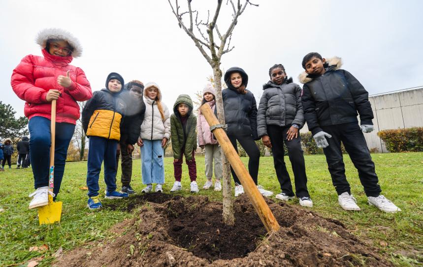 Plantations arbres usine de Neuilly